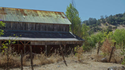 Kathleen Dunphy: Ultimate Collection - Plein Air to Studio