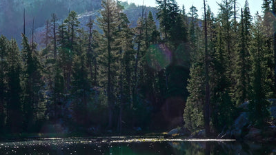 Kathleen Dunphy: Ultimate Collection - Plein Air to Studio