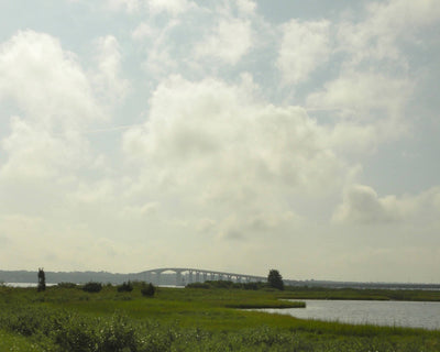 Cindy Baron: Elegant Landscapes