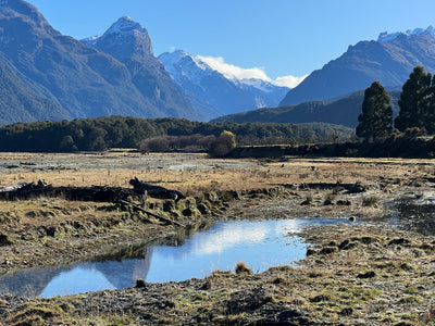 Scott Hamill: PAINT MOUNTAINS WITH ENERGY - A New Zealand Landscape in Oil