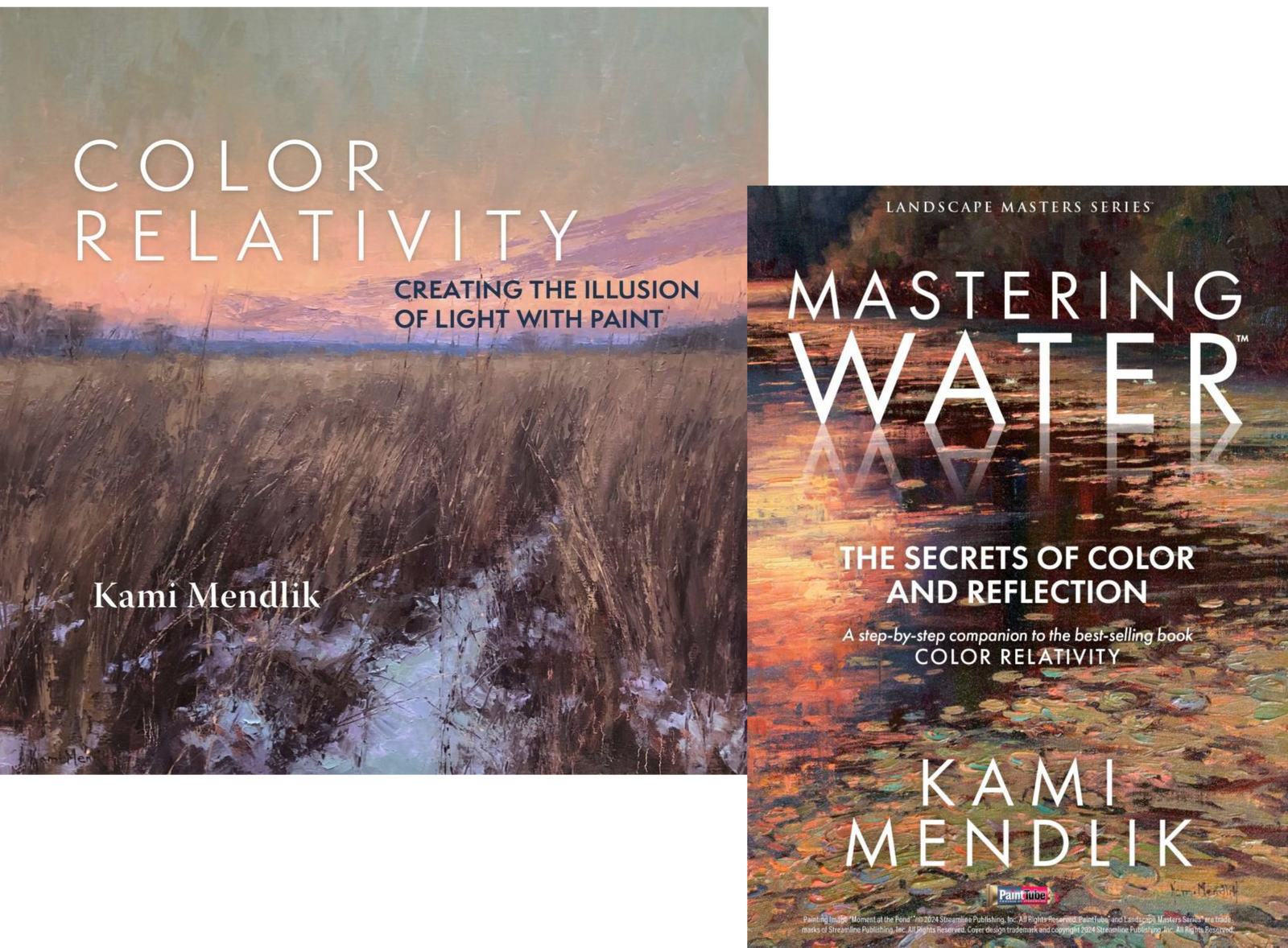 Kami Mendlik: Mastering Water Video/Color Relativity Book Combo