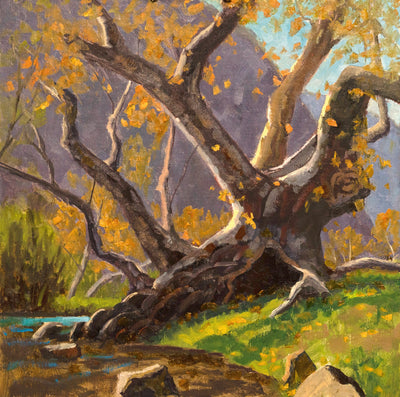 Rich Gallego: Autumn Gold - Paint Landscapes with Impact